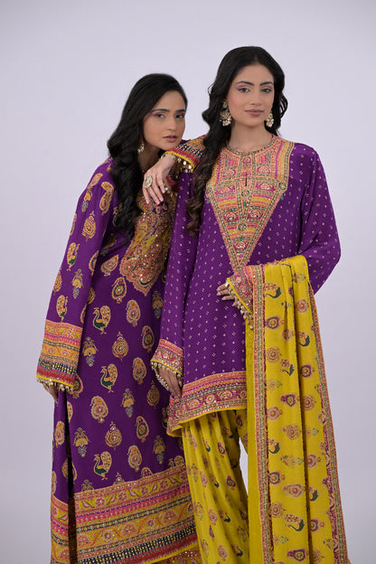 Nayra Punjabi Suit