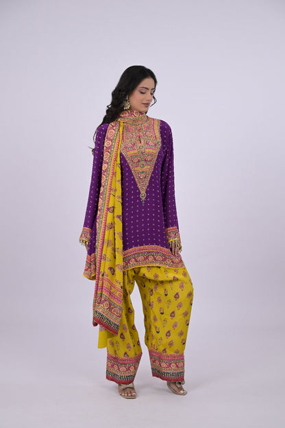 Nayra Punjabi Suit