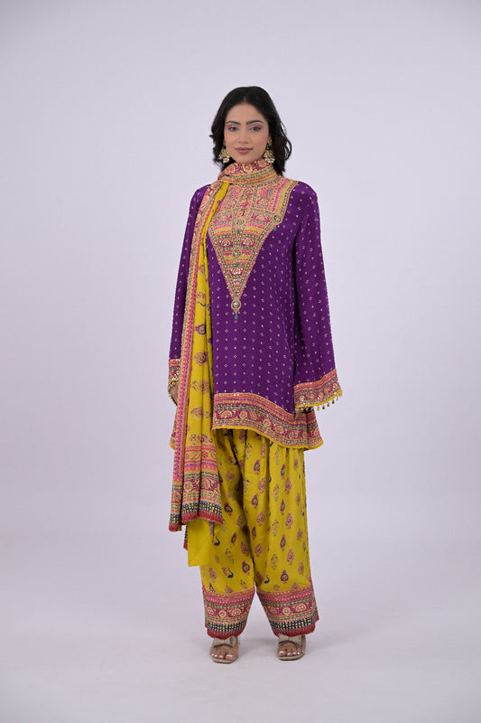 Nayra Punjabi Suit