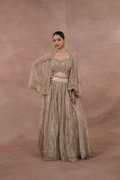 Aurelia Crushed Tissue Lehenga