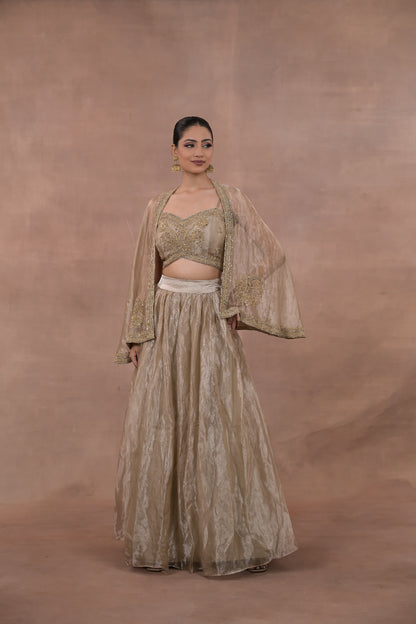 Aurelia Crushed Tissue Lehenga