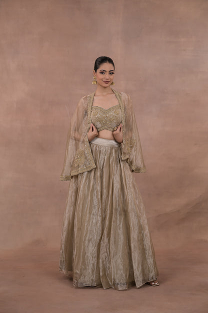 Aurelia Crushed Tissue Lehenga