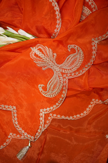 Orange Banarasi Organza Suit Set