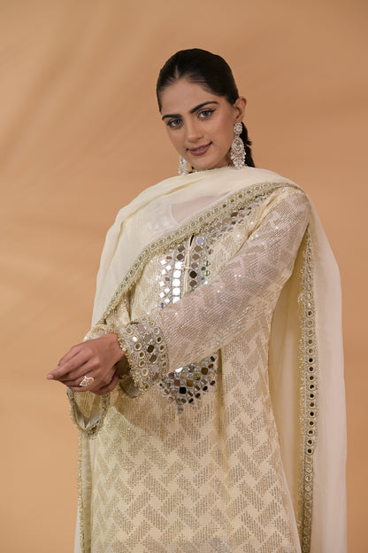 Noor Sheesha Sequin Kurta Set