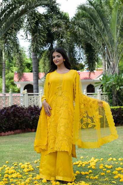 Golden Glow Organza Kurta Set