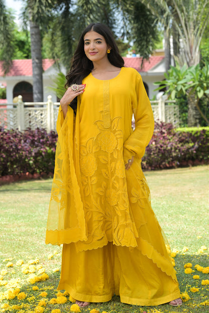 Golden Glow Organza Kurta Set