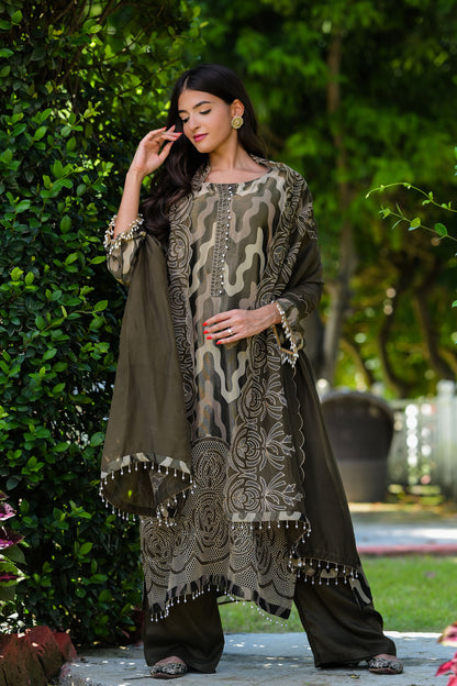 Olive Elegance Organza-  Kurta Set