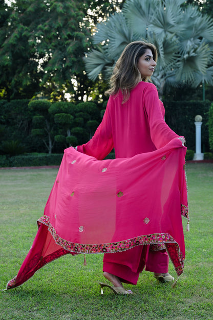 Rani Radiance Kurta Set