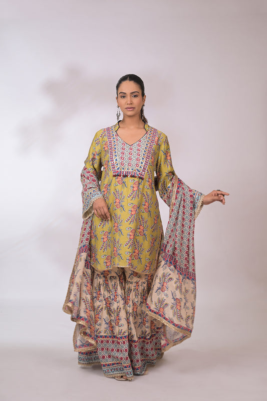 Gulnaar Festive Kurta Set
