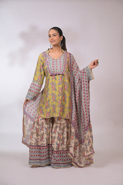 Gulnaar Festive Kurta Set