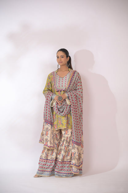 Gulnaar Festive Kurta Set