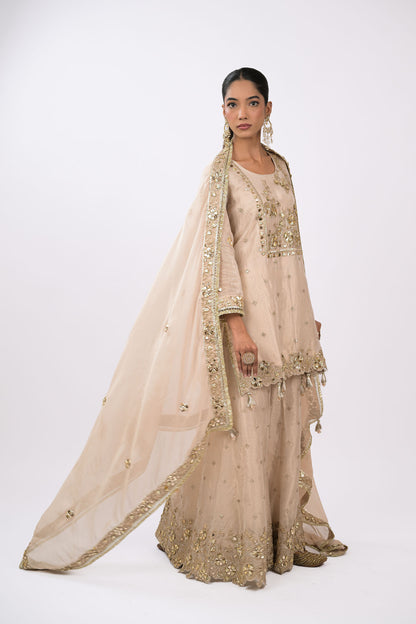 Noor Champagne Embellished Kurta Set