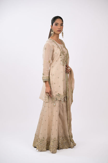 Noor Champagne Embellished Kurta Set