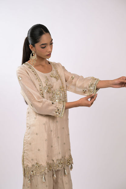 Noor Champagne Embellished Kurta Set