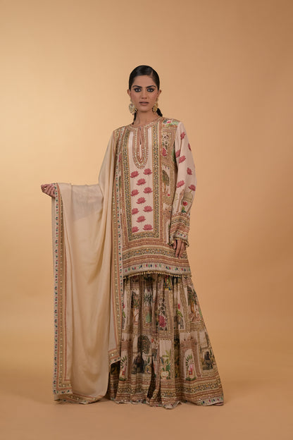 Gulnaar Sheesha Panelled Set
