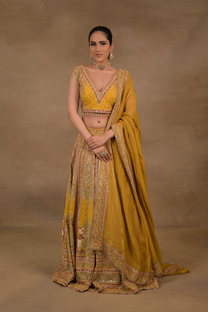 Mustard Meher Lehenga Set